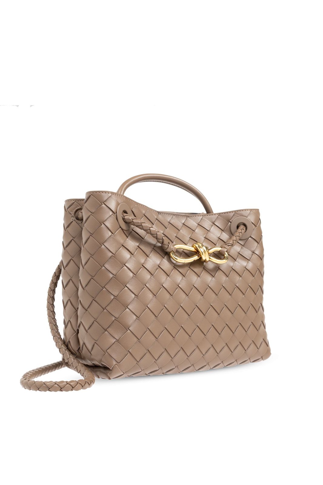 Bottega Veneta Andiamo Small Tote Bag