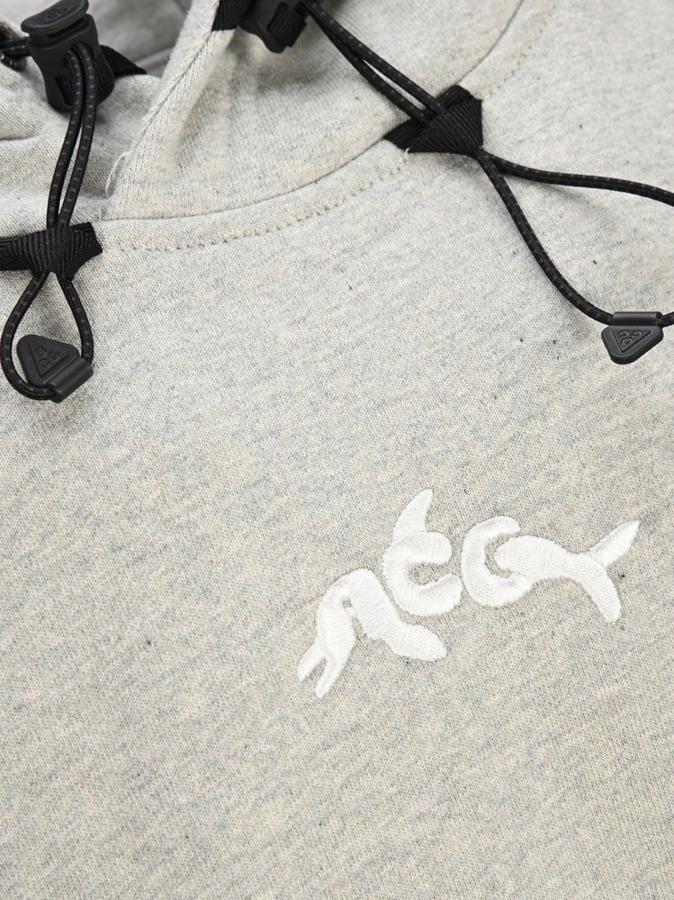 acg dolphin hoodie