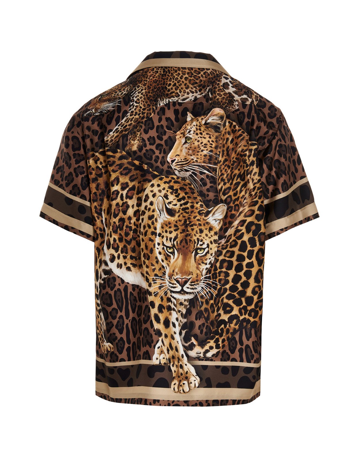 Dolce & Gabbana アニマル リーフ柄 tシャツ Dolce & Gabbana Floral leopard-print T-shirt | Brown | FARFETCH