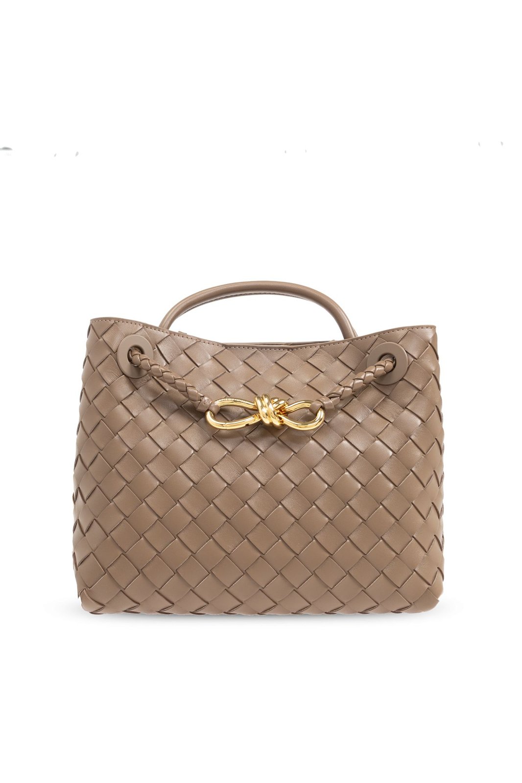 Bottega Veneta Andiamo Small Tote Bag