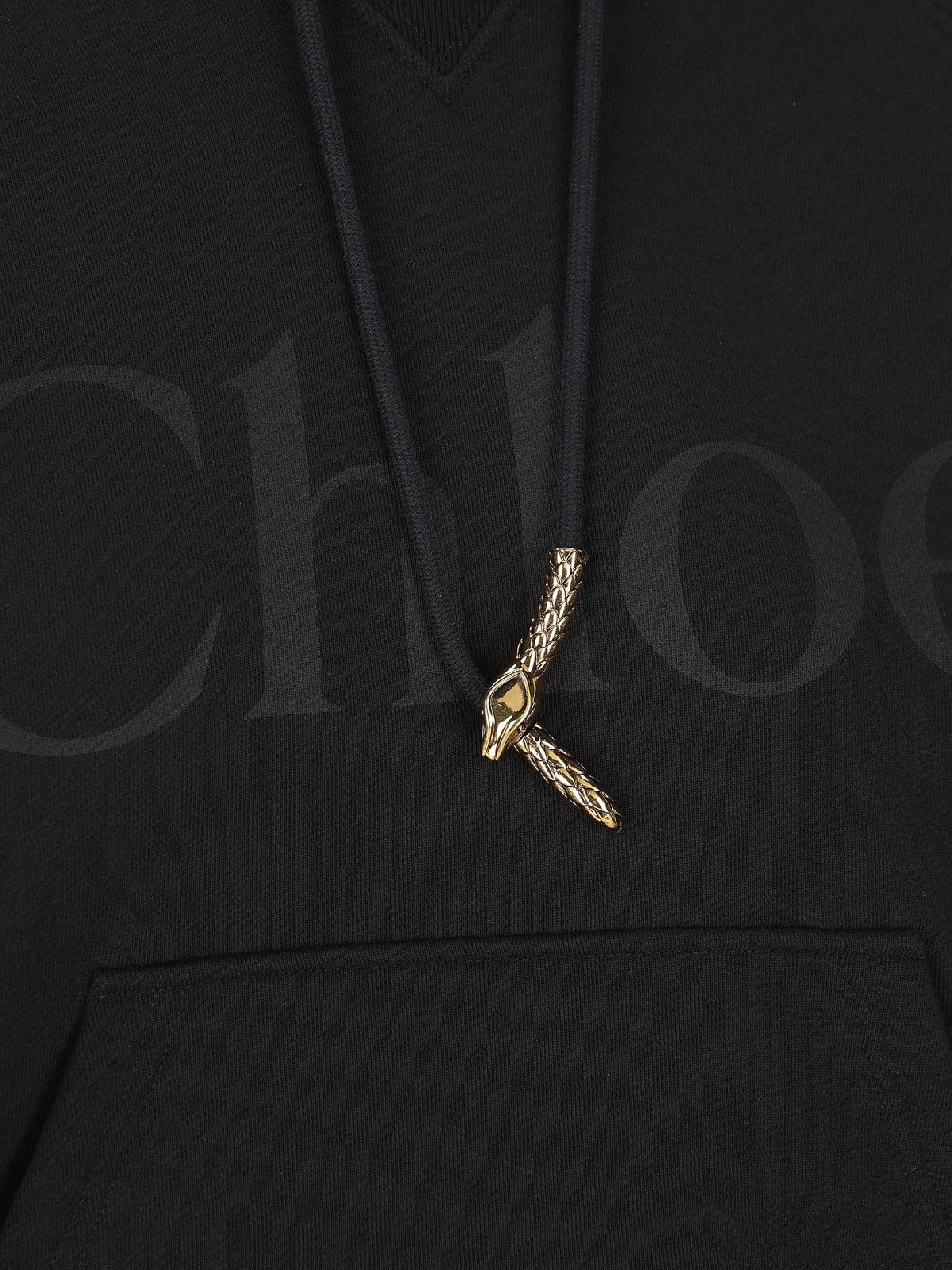 Chloé Generous Logo Hoodie